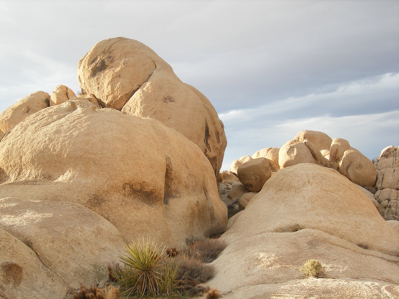 The Ultimate Guide to Rock Climbing in Joshua Tree